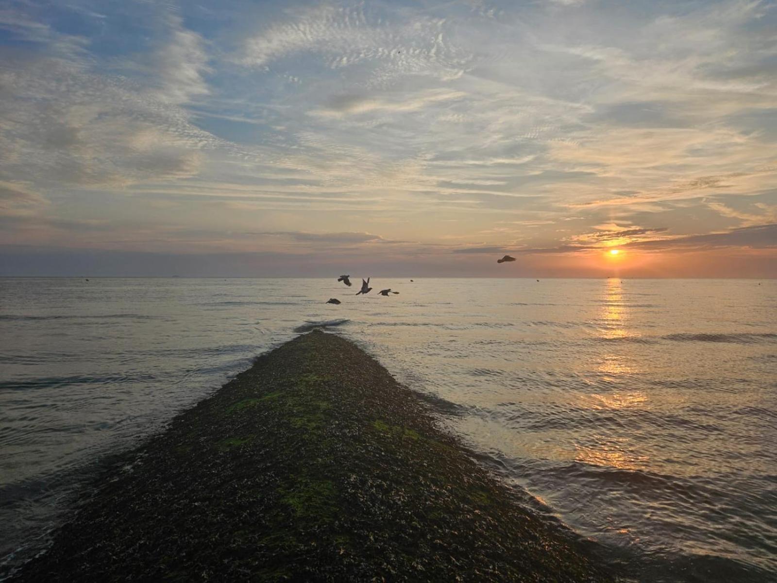 Entre Ciel Et Mer Luc-sur-Mer Extérieur photo